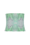 ELASTIC PRINTED BELT
